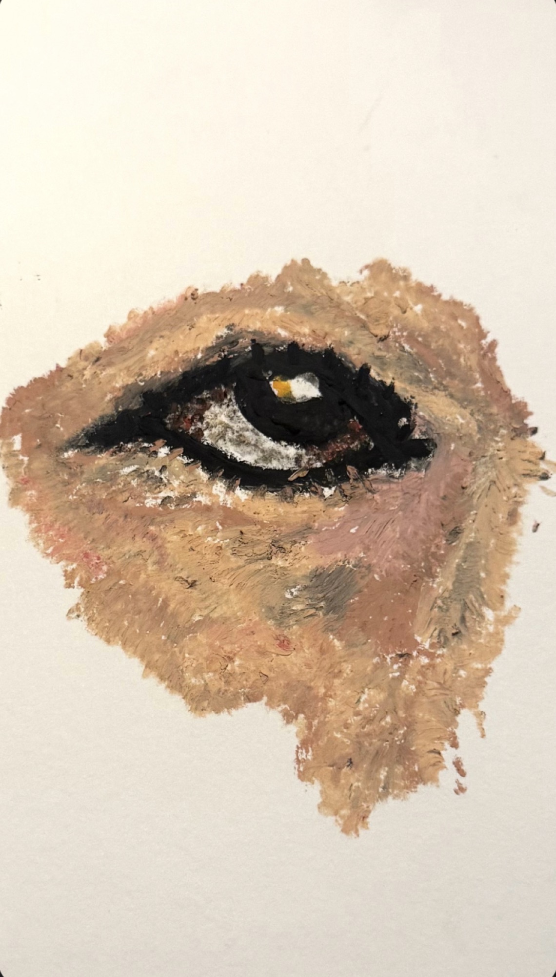 An eye painted in thick impasto oil: ochre, pink and black strokes on cream paper, the pupil catching a spot of white and yellow.